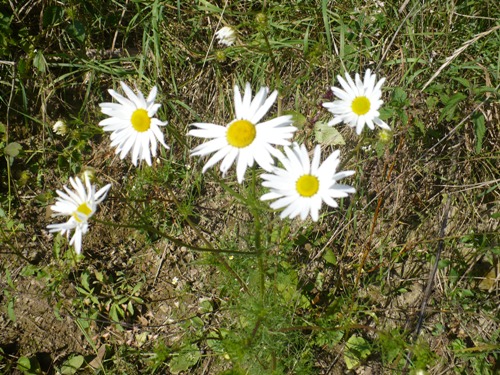 201010131408100.p1090419