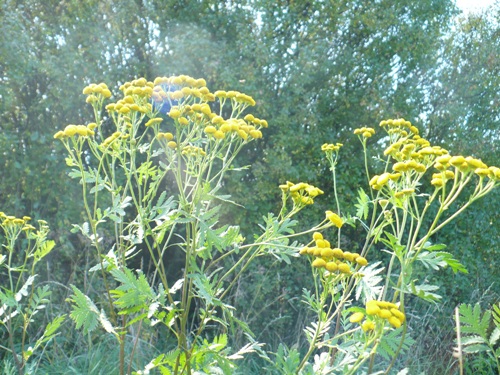 201010131408230.p1090421