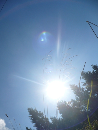 201010131409030.p1090428