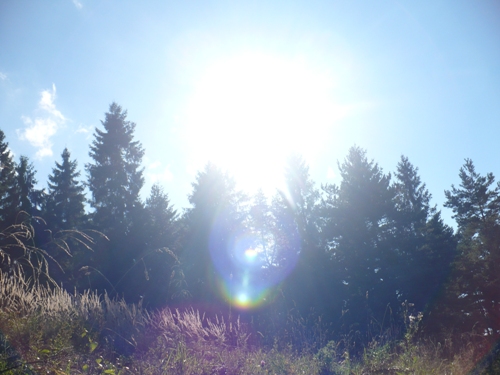 201010131409150.p1090435