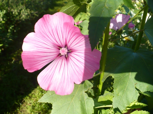 201010131409290.p1090438