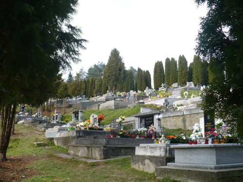 201011030934460.p1090603