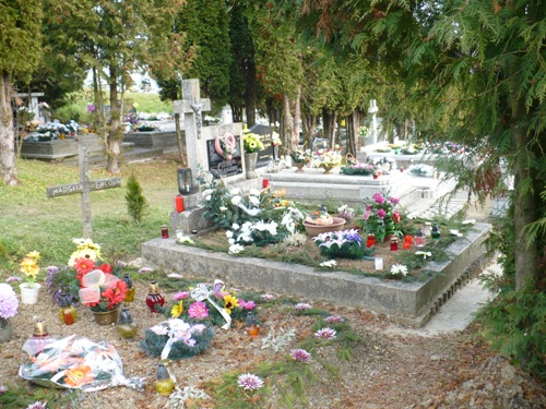 201011030936090.p1090609