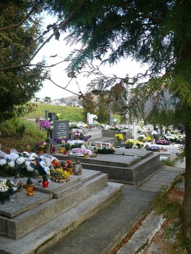 201011030936250.p1090611