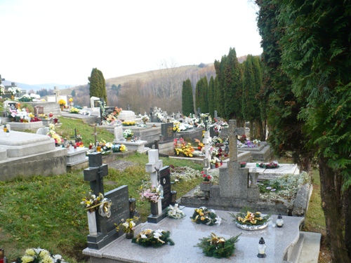 201011030936380.p1090614