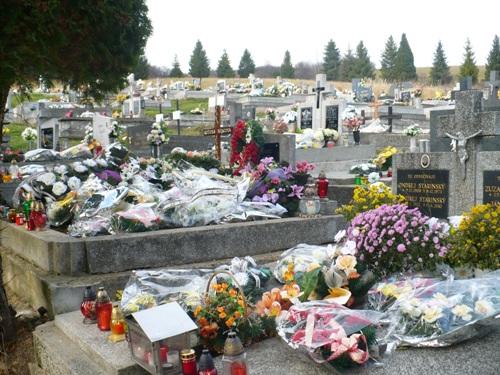 201011030937270.p1090619