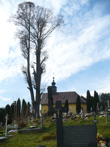 201011030938470.p1090630