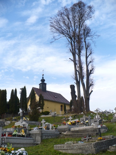 201011030939010.p1090631