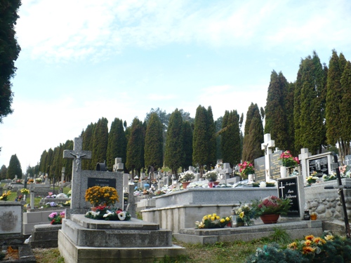 201011030940040.p1090638