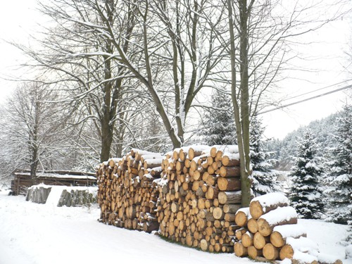 201012031321140.p1090851