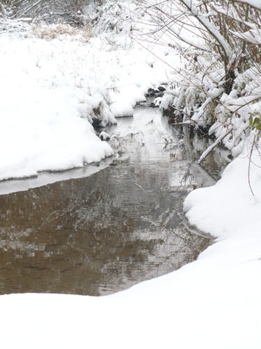 201012031321260.p1090855