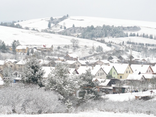 201012031321360.p1090857