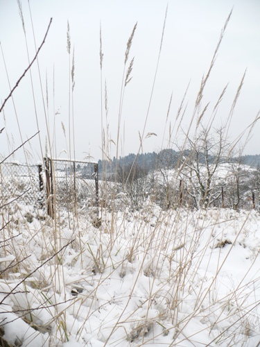 201012031321460.p1090862