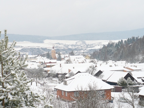 201012031321590.p1090863