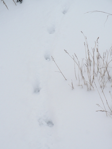 201012031322560.p1090879