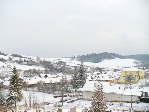 201012031323270.p1090884