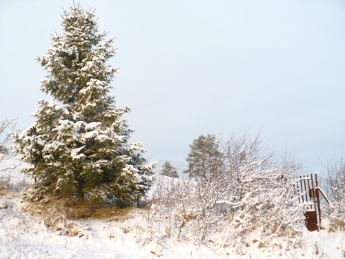 201012031323440.p1090886