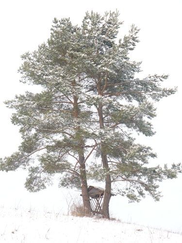 201012031323580.p1090893