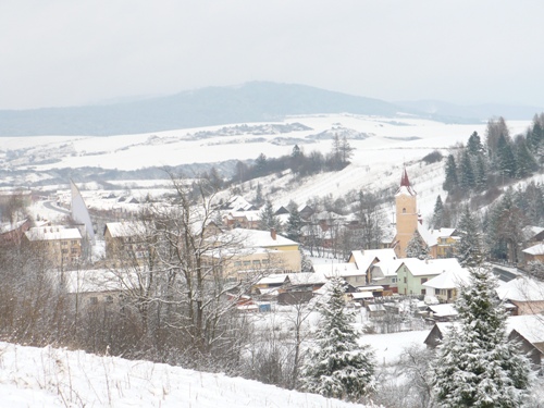 201012031324120.p1090899