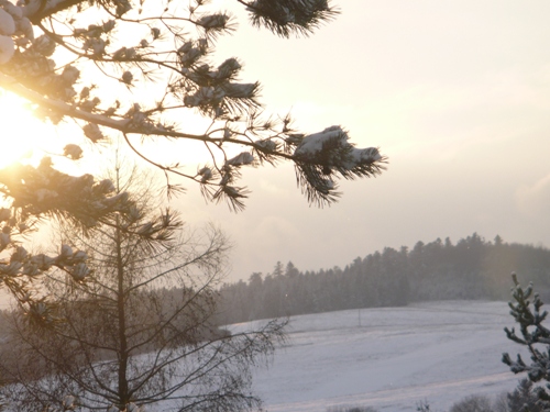 201012031324250.p1090902