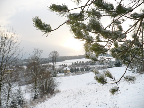 201012031325030.p1090905