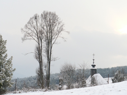 201012031325140.p1090906