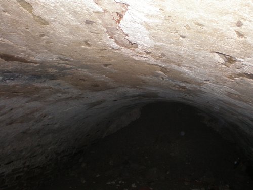 201103211555360.pivnica_1