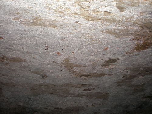 201103211556130.pivnica_3
