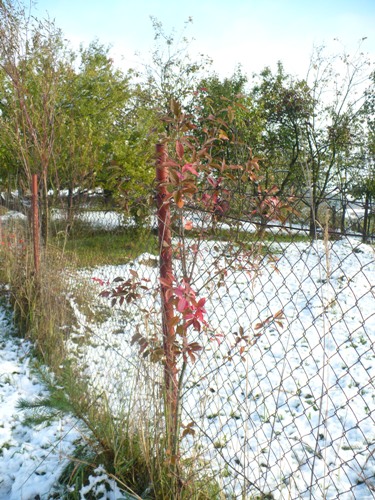 201110101347140.p1120204