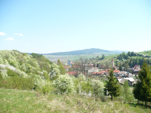 201205021608080.p1130794