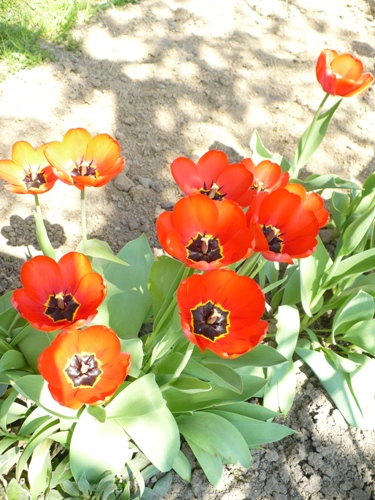 201205021608210.p1130814