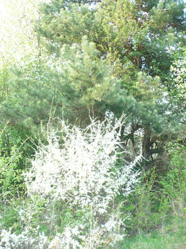 201205021609400.p1130844