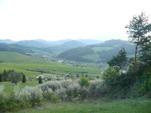 201205021610040.p1130850