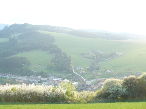 201205021610180.p1130852