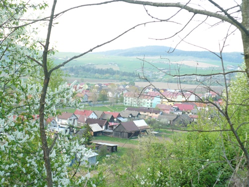 201205021611530.p1130870