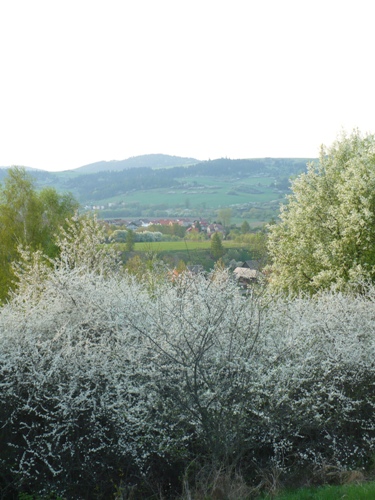 201205021612200.p1130873