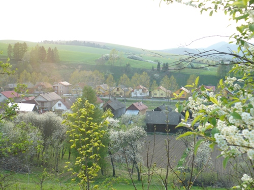 201205021612450.p1130877