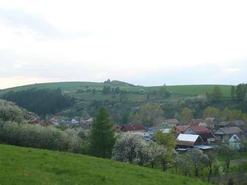 201205021612560.p1130879