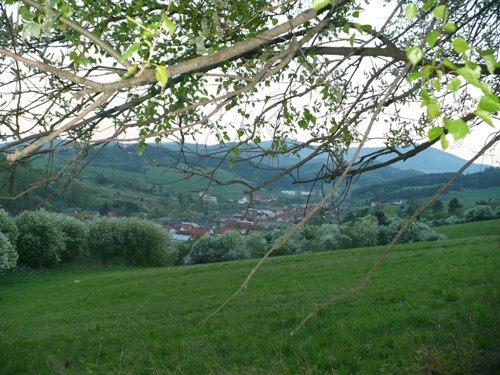 201205021613330.p1130901