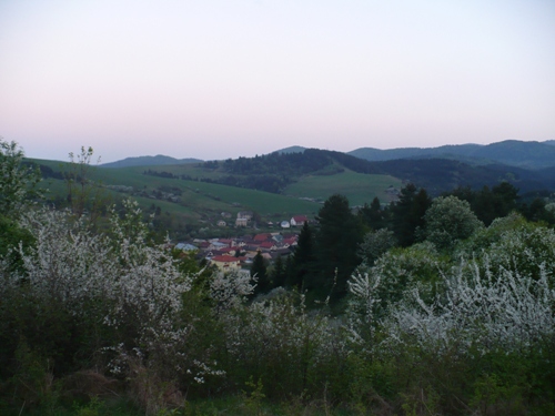 201205021613460.p1130910