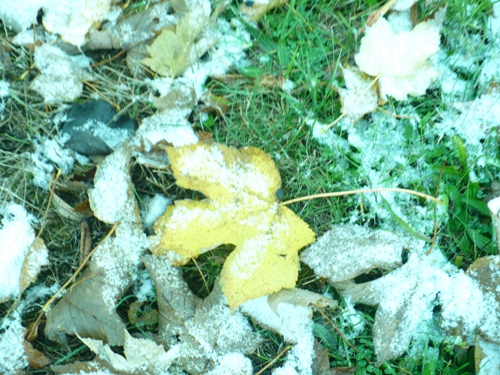 201210291522080.p1150487