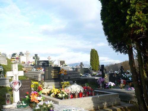 201211051135140.p1150563