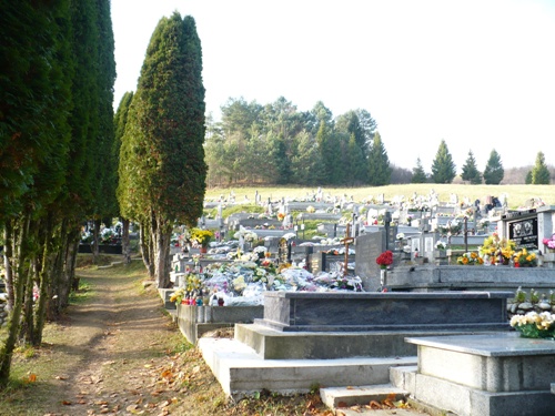 201211051135330.p1150565