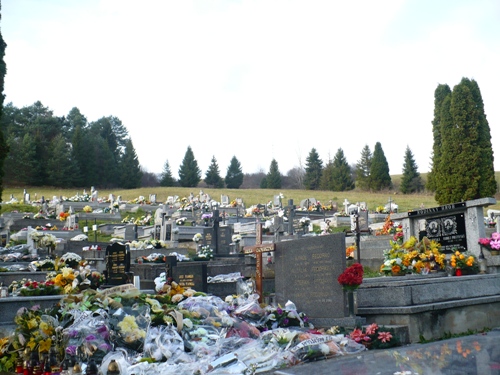 201211051136380.p1150572