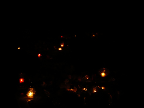 201211051137230.p1150588