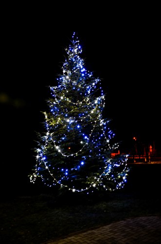 201312130951000.dsc_0291