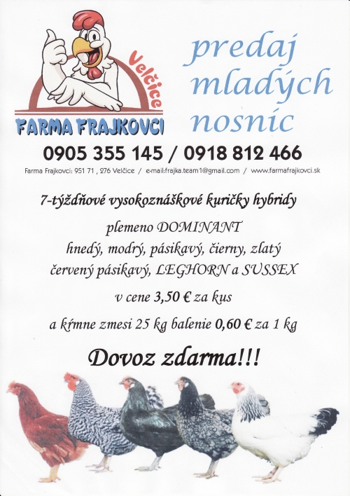 201401291346430.predaj_mladych_nosnic_farma_frajkovci
