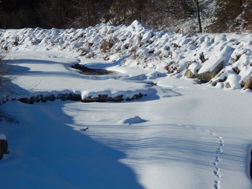 201501090950570.dscn0309