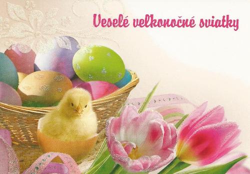 201503311313190.vn