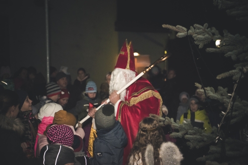 201812120841030.dsc5572
